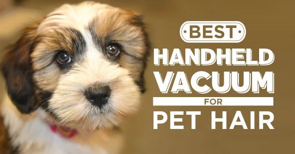 Best Handheld Vacuum For Pet Hair 2021 (New Updated)